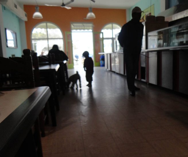 copyright Mirjana Grgurevic Photographer