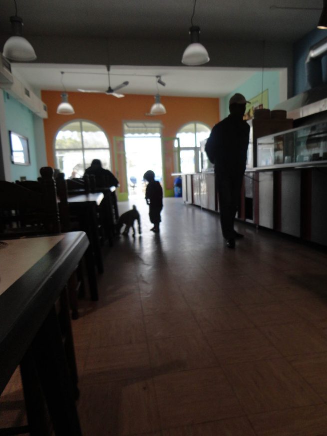 copyright Mirjana Grgurevic Photographer