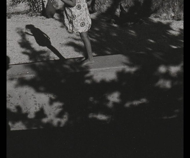 copyright Mirjana Grgurevic Photographer