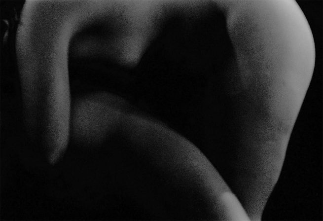 copyright Mirjana Grgurevic Photographer