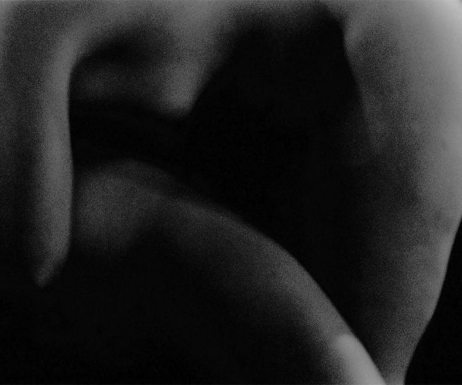 copyright Mirjana Grgurevic Photographer