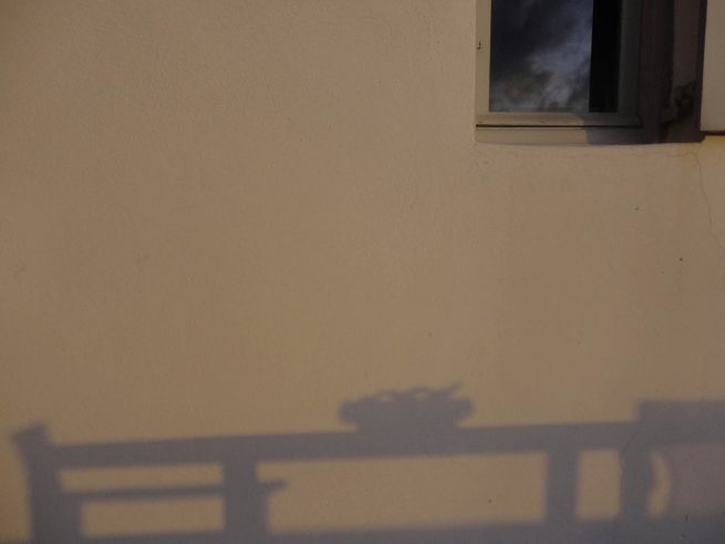 copyright Mirjana Grgurevic Photographer