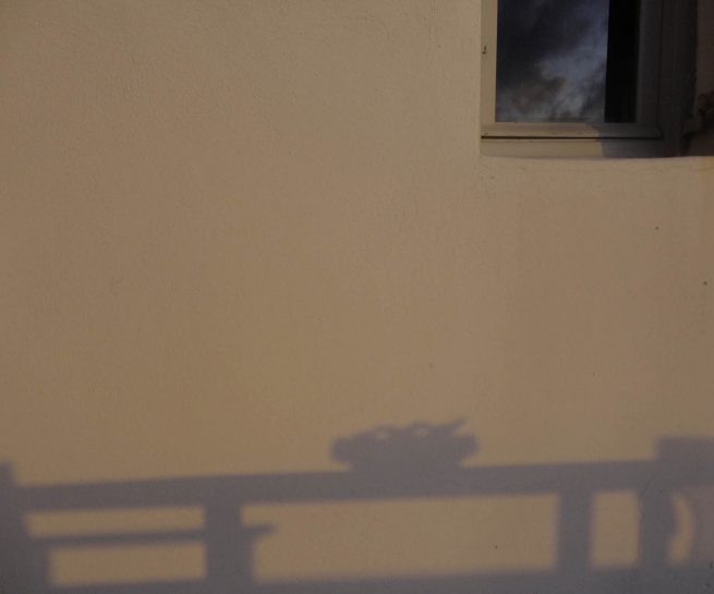 copyright Mirjana Grgurevic Photographer