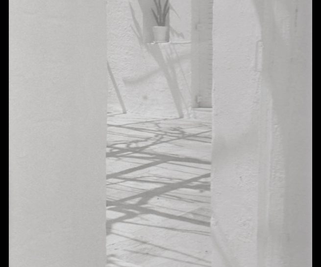 copyright Mirjana Grgurevic Photographer