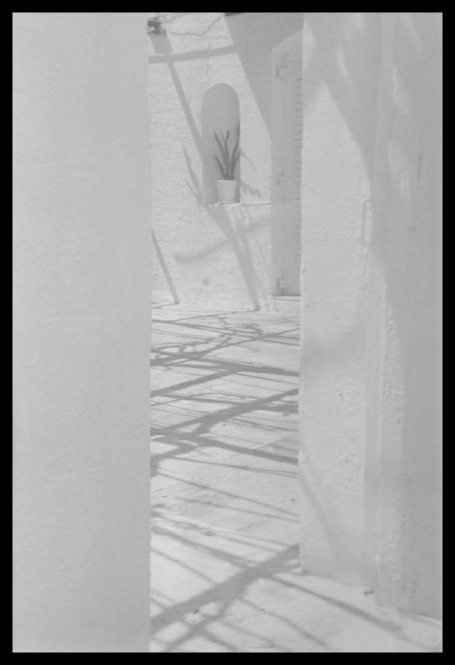 copyright Mirjana Grgurevic Photographer