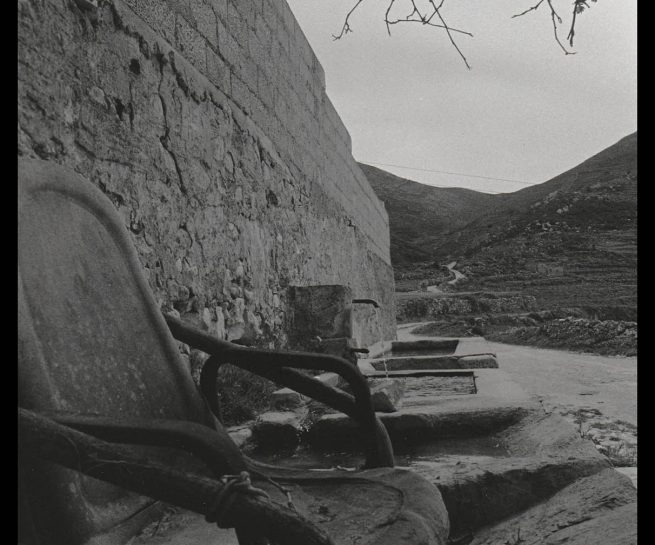 copyright Mirjana Grgurevic Photographer