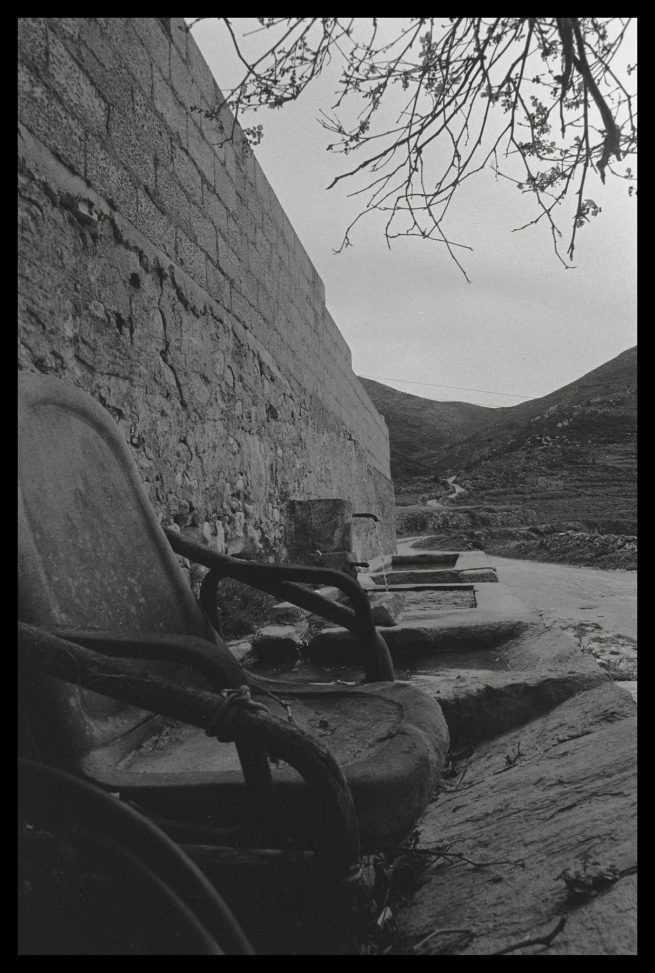 copyright Mirjana Grgurevic Photographer