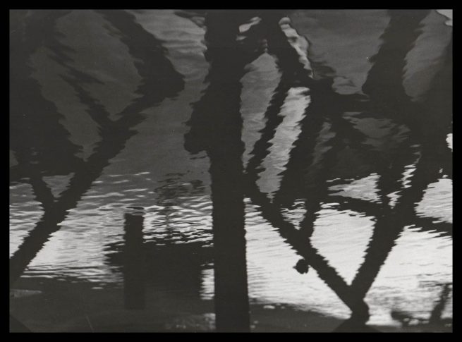 copyright Mirjana Grgurevic Photographer