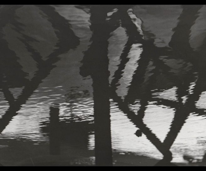 copyright Mirjana Grgurevic Photographer