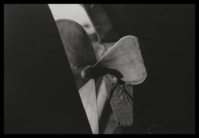 copyright Mirjana Grgurevic Photographer