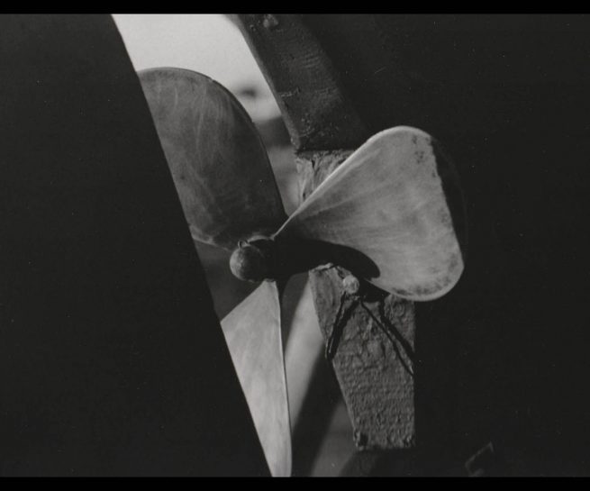 copyright Mirjana Grgurevic Photographer