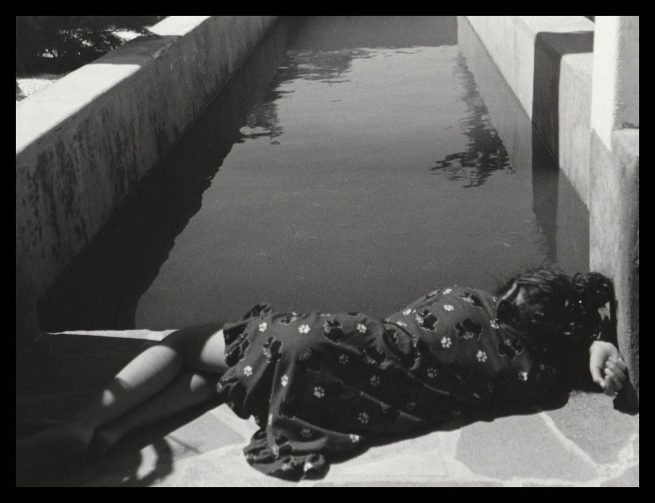 copyright Mirjana Grgurevic Photographer