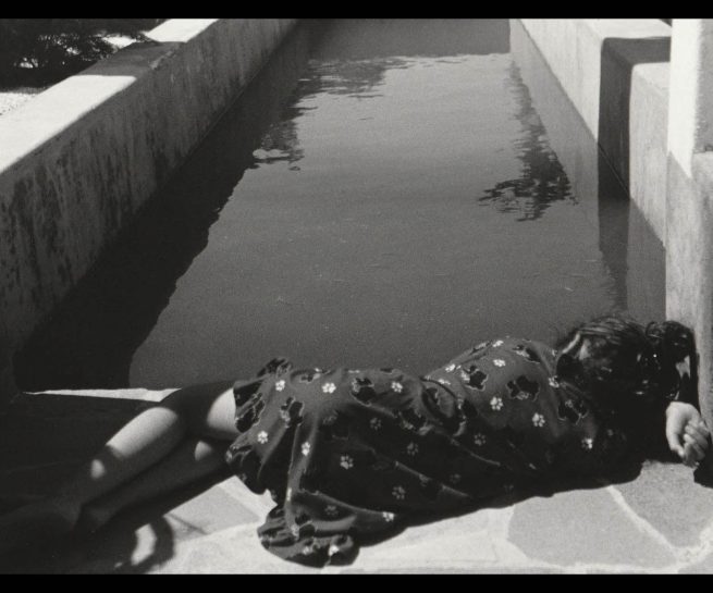 copyright Mirjana Grgurevic Photographer